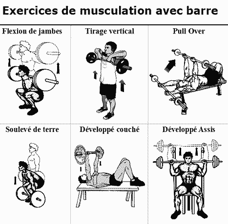 Exercice musculation - Muscu maison